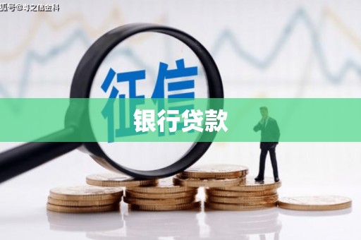 坪山新区银行贷款