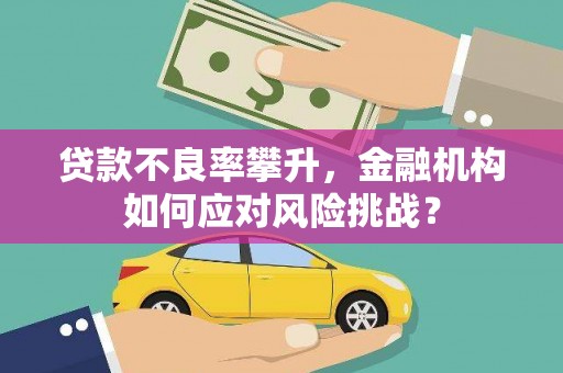 坪山新区贷款不良率攀升，金融机构如何应对风险挑战？