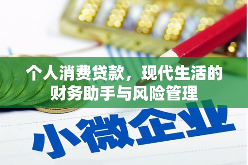 坪山新区个人消费贷款，现代生活的财务助手与风险管理