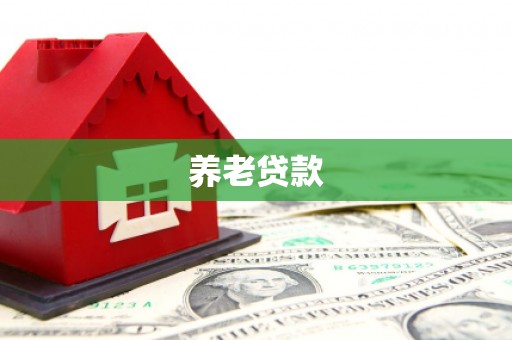 坪山新区养老贷款