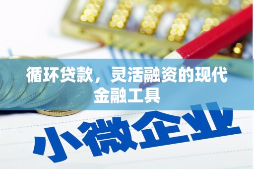 坪山新区循环贷款，灵活融资的现代金融工具