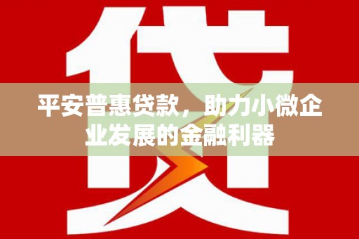 坪山新区平安普惠贷款，助力小微企业发展的金融利器