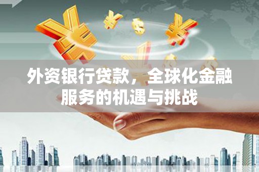 坪山新区外资银行贷款，全球化金融服务的机遇与挑战