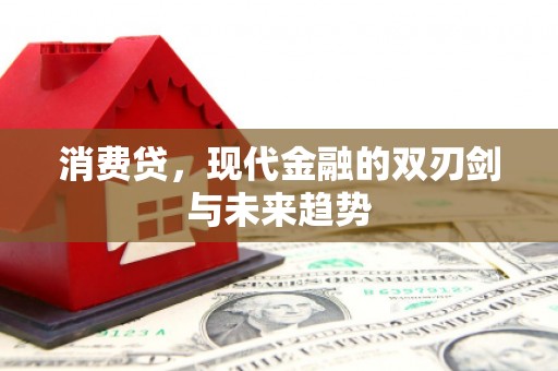 坪山新区消费贷，现代金融的双刃剑与未来趋势