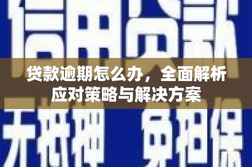 坪山新区贷款逾期怎么办，全面解析应对策略与解决方案