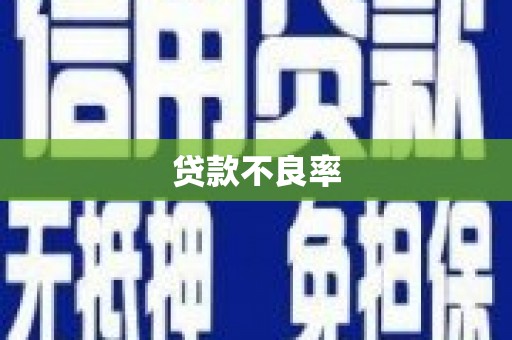 坪山新区贷款不良率