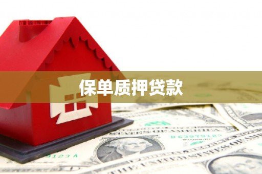 坪山新区保单质押贷款