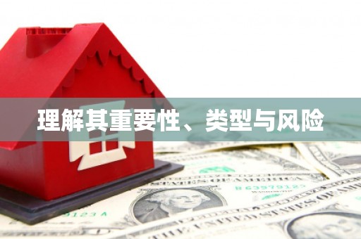 坪山新区理解其重要性、类型与风险