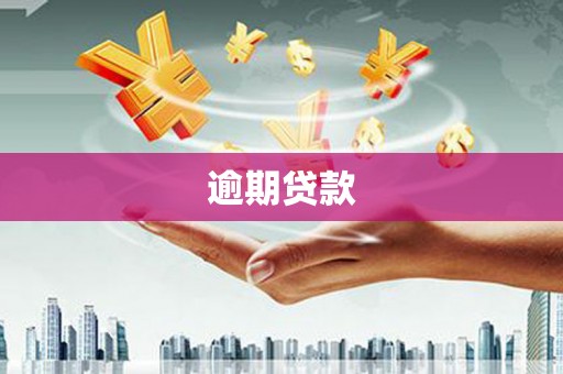 坪山新区逾期贷款