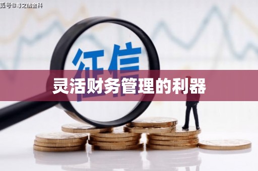 坪山新区灵活财务管理的利器