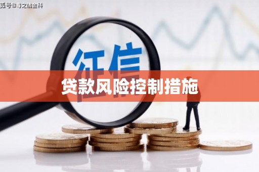 坪山新区贷款风险控制措施