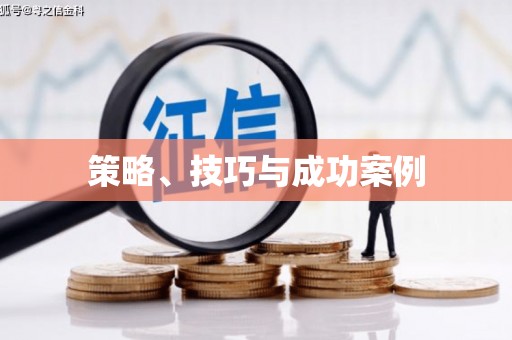 坪山新区策略、技巧与成功案例