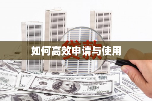 坪山新区如何高效申请与使用