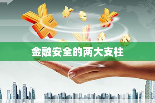 坪山新区金融安全的两大支柱