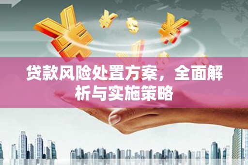 坪山新区贷款风险处置方案，全面解析与实施策略