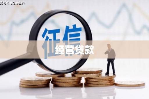 坪山新区经营贷款