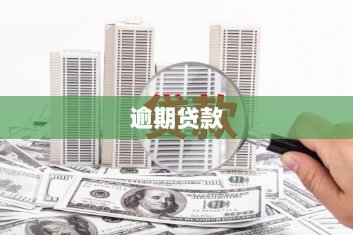 坪山新区逾期贷款