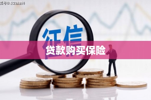 坪山新区贷款购买保险