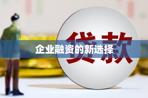 坪山新区企业融资的新选择