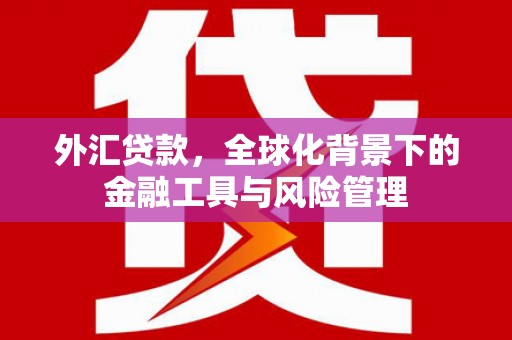 坪山新区外汇贷款，全球化背景下的金融工具与风险管理